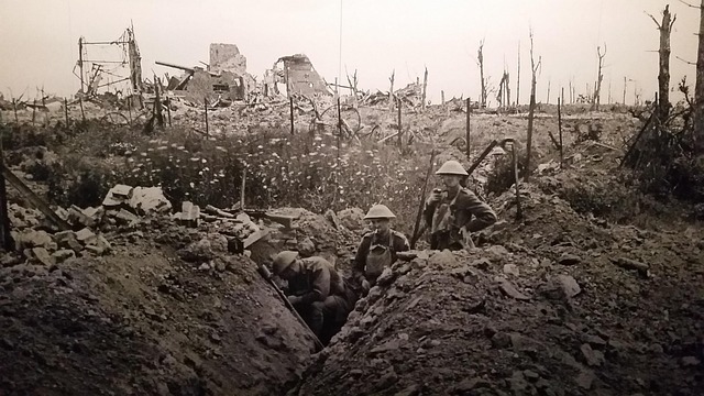 ww1, trench, warfare, one, war, world, great, military, history, france, sandbags, front, battlefield, poppy, remembrance, conflict, vintage, belgium, soldier, cemetery, wwi, historical, armed, forces, bandages, western, wounded, group, world war 1, world war i, first world war, world war one, brown group, brown war, ww1, ww1, ww1, ww1, ww1, trench, battlefield, wwi