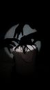 An artistic projection of a person surrounded by shadows indoors, symbolizing mental health struggles.